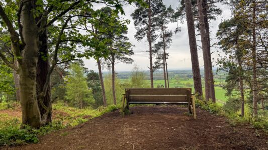 Corbet Wood Countryside Heritage Site 3